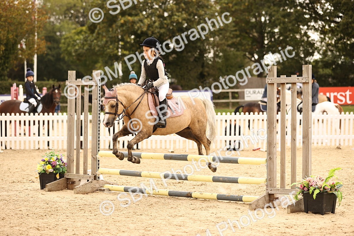 SBM_72696 - J14 - Junior Pony 65cm Championship