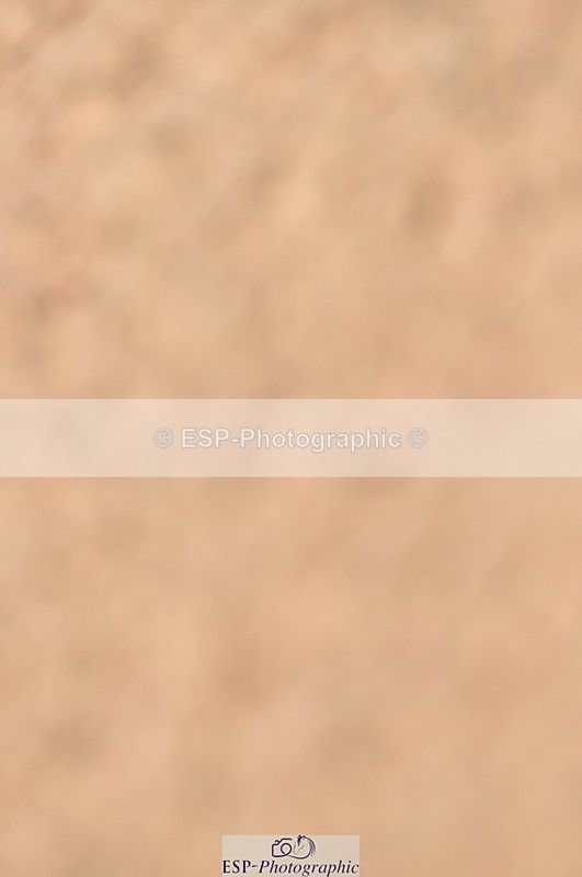 230810A-110906-00800 - Cls 9 Foxhunter