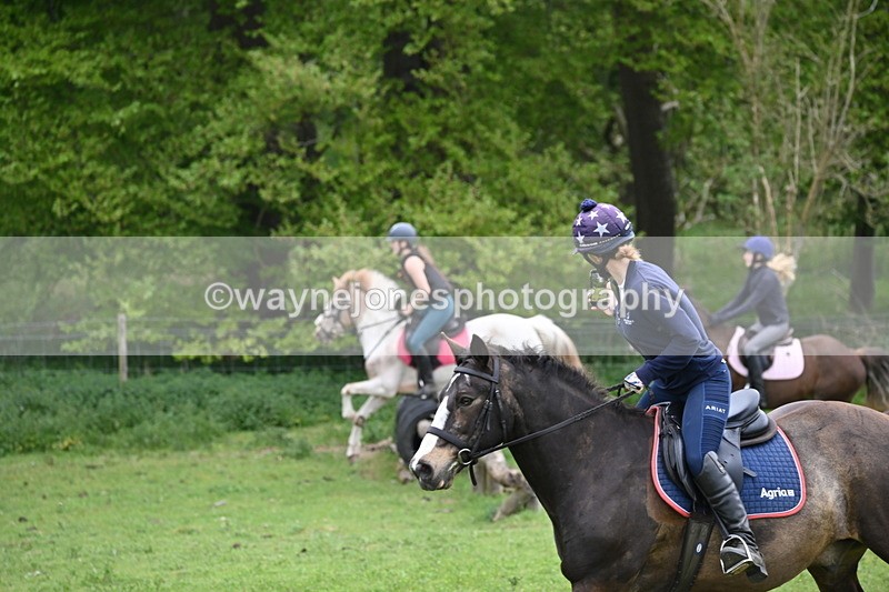 WJ6_3339 - A camera