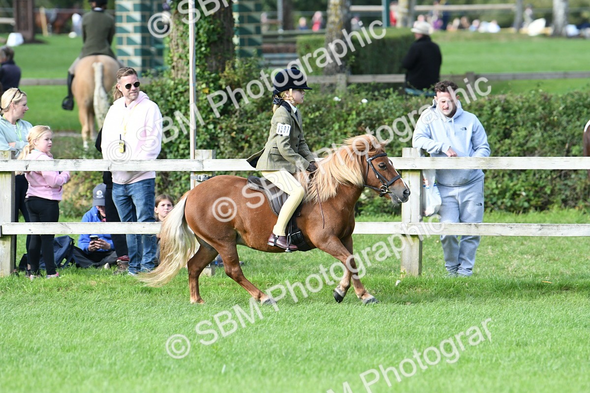 SBM_51908 - S21 - Novice & Newcomers 1st Ridden Pony
