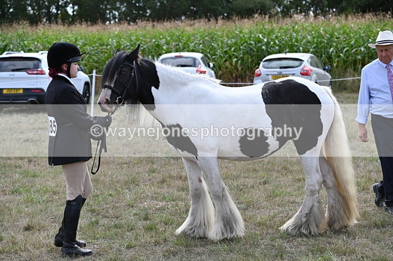 WJ6_6642 - Class 20 In-hand Cob