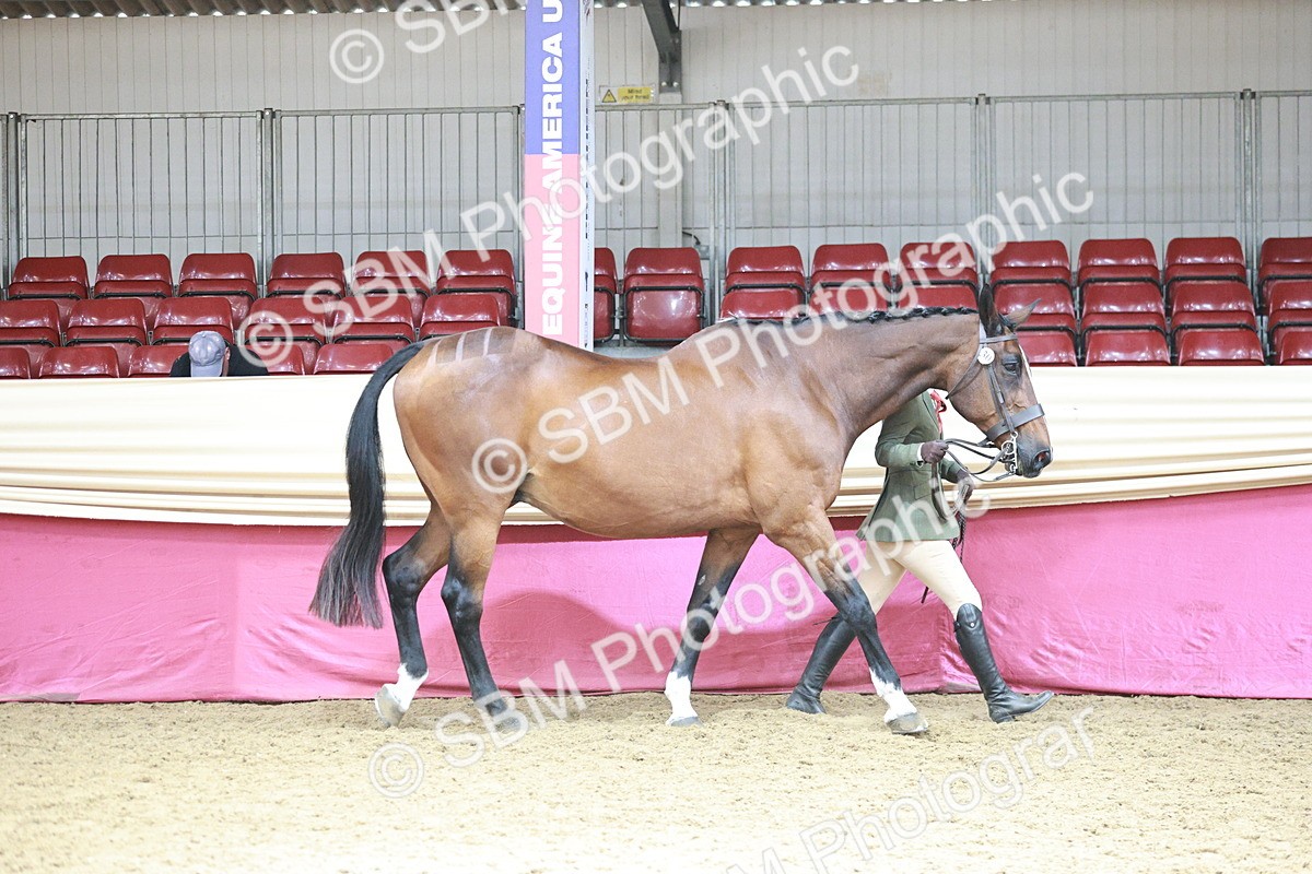 SBM_04717 - Class 7R - Regional IH Diamond