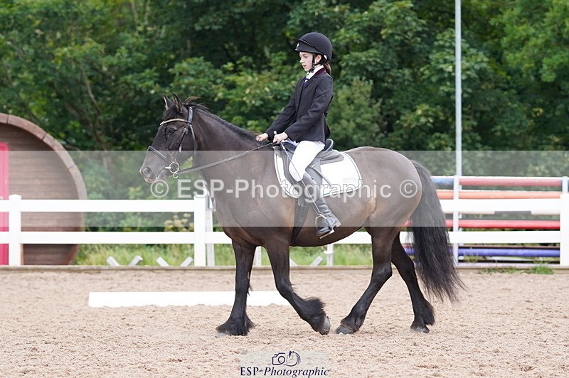 240809A-095200-00344 - Dressage Competition
