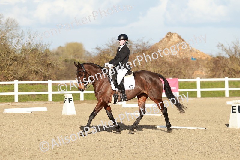 20260314-6241 - CT7 - Elementary 2