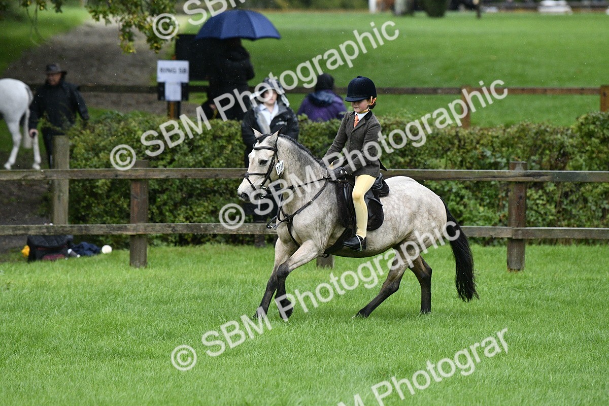 SBM_35539 - S30 - Nursery Stakes Working Hunter Pony
