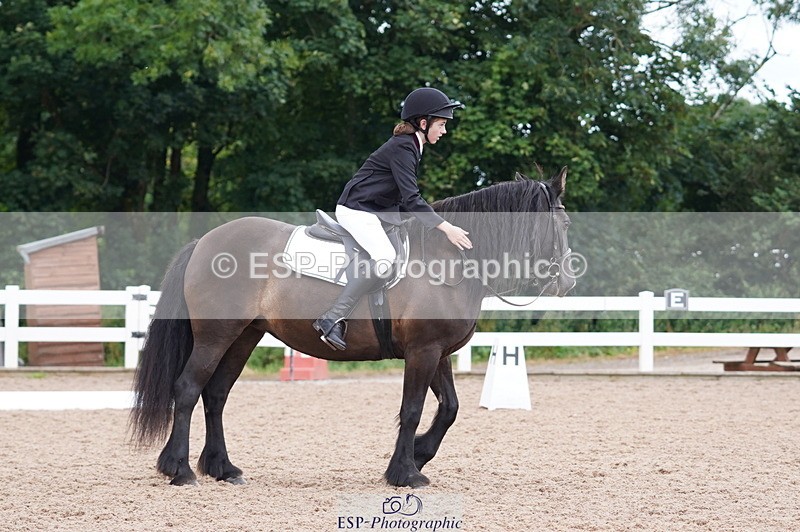 240809A-095438-00358 - Dressage Competition