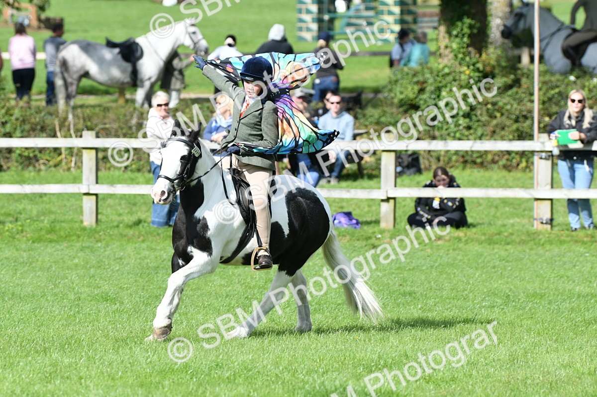 SBM_46993 - S12 - Family Horse & Pony