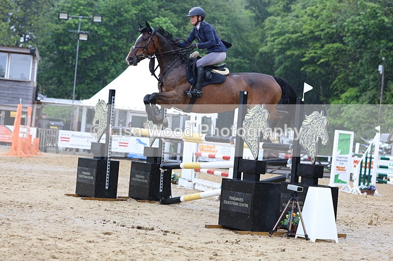 3E7A7428 - Class 8: Senior Foxhunter/1.20 open