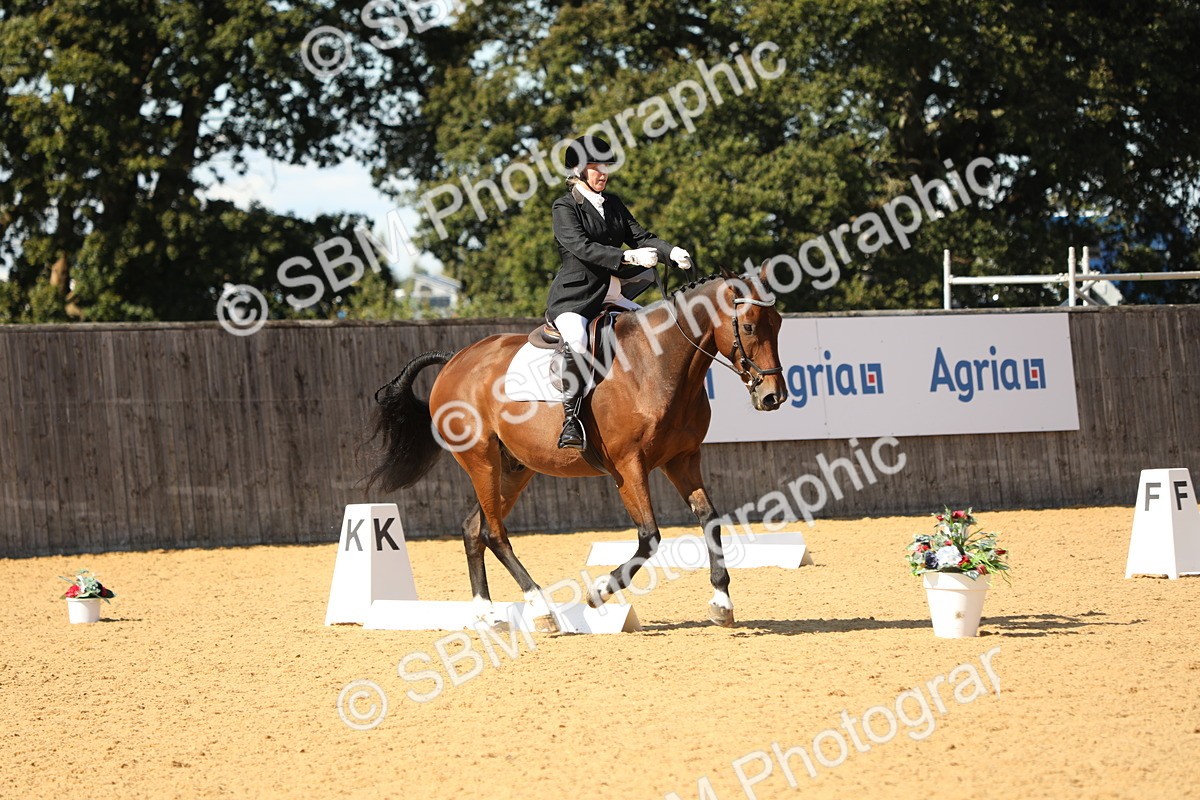 SBM_24444 - D17 - Grand Tour Championship - Novice 27