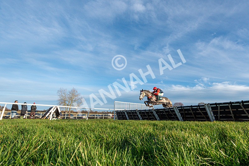 161225-Race 5-Somebodycomegether-3744 - Race 5