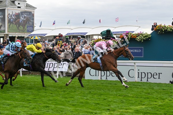 210825-Race 3-Bullet Point-4245 - Race 3 3.00pm Clipper Handicap