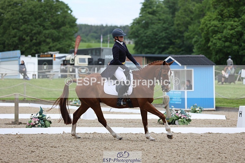 240524-090348-07046 - 251-MILESTONE_GOLD-Gaby_Bull