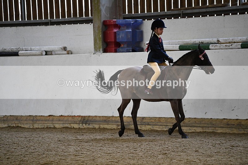 WJ5_6532 - Class 10 Childs Pony