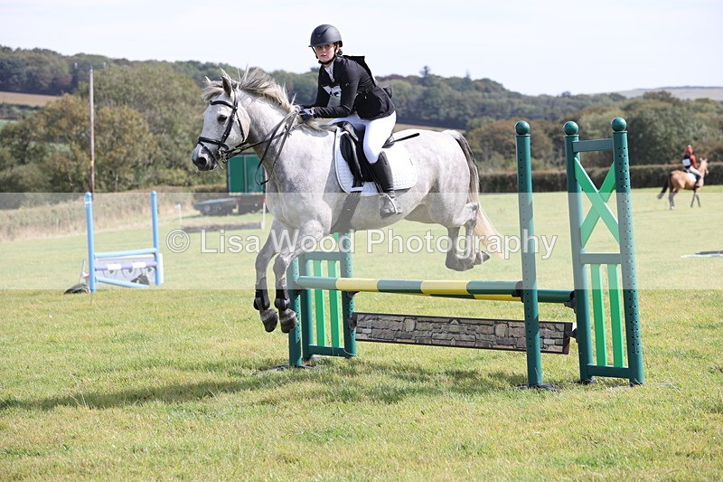 JPP_8639 - Class 2: Trekenning: 80cm Showjumping