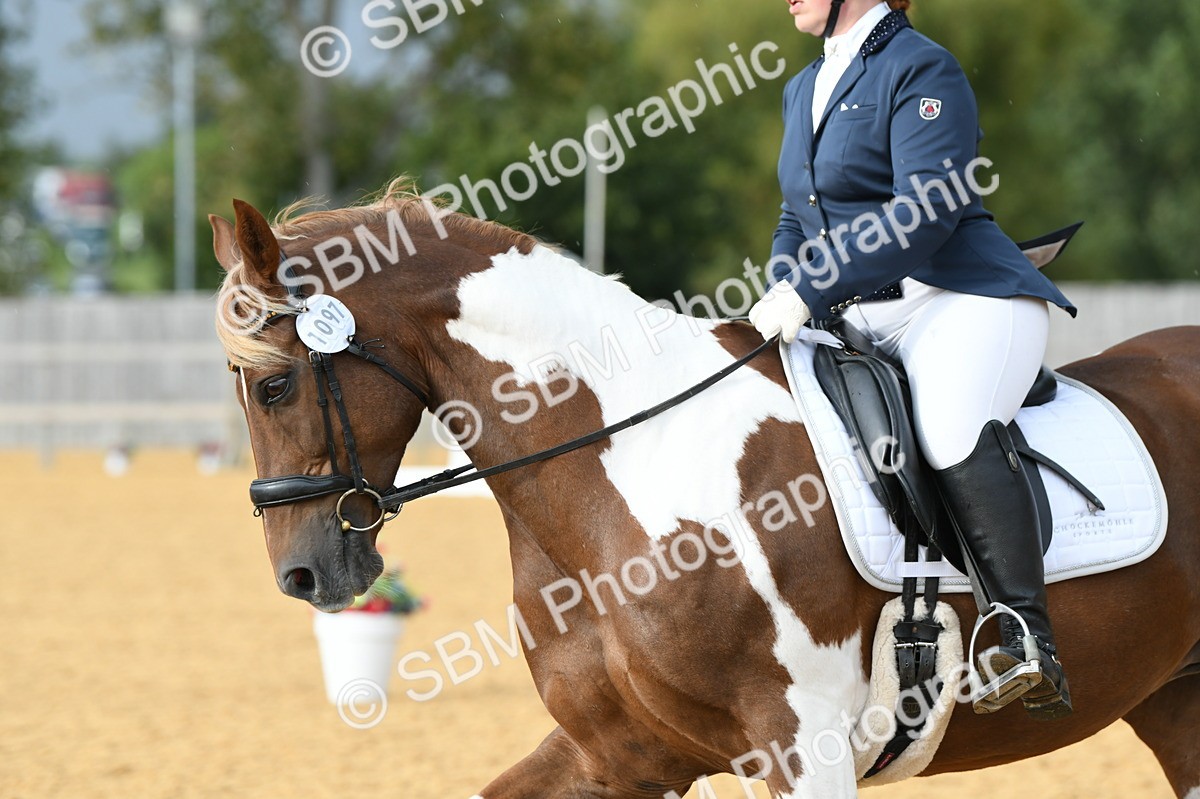 SBM_11068 - D28 Elementary Taster Elementary 42