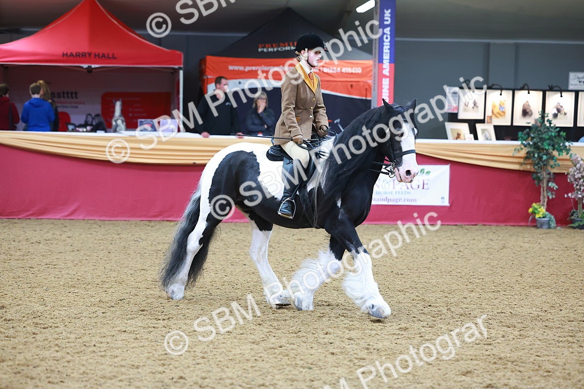 SBM_09733 - Class 102 - HOYS Veteran Qualifier - Ridden Veteran