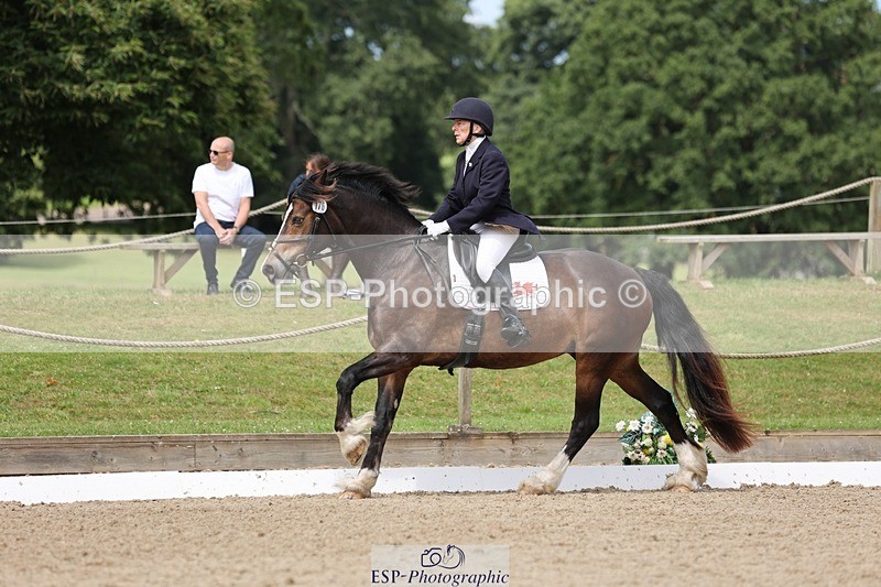 240721-115625-08478 - 176-Amanda_Williams-Llanarth_Westminster