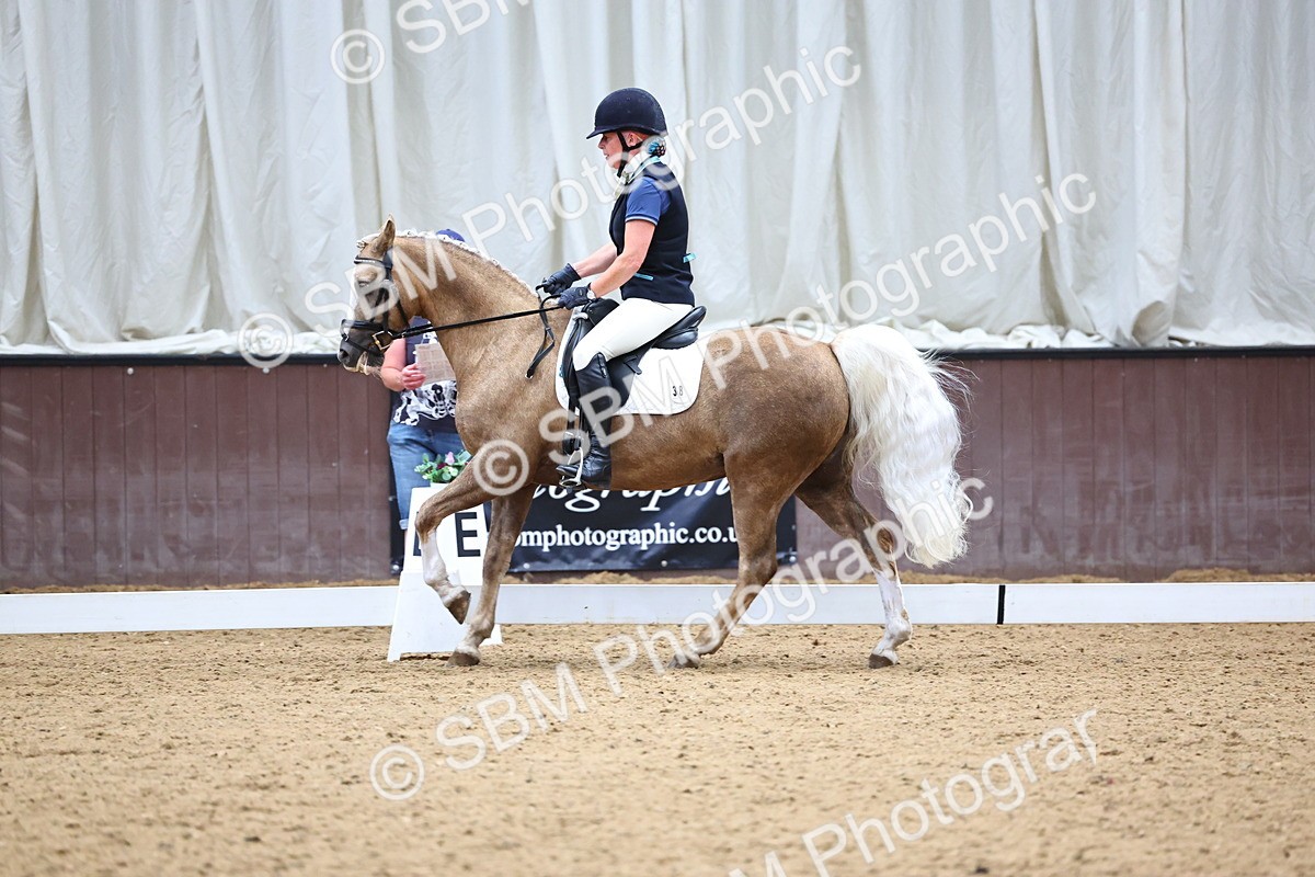 SBM_005583 - Elementary 2