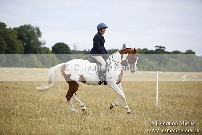 _C7A9490 - BVRC Show 2018 Ring 1