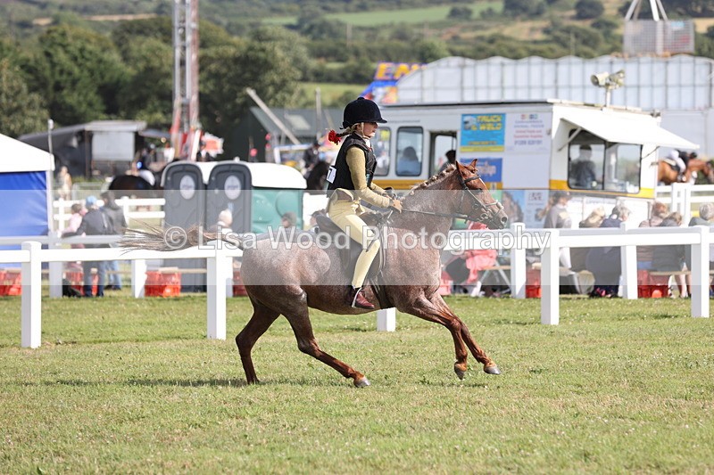 JPP_2837 - Class 20: Working Hunter 70cm