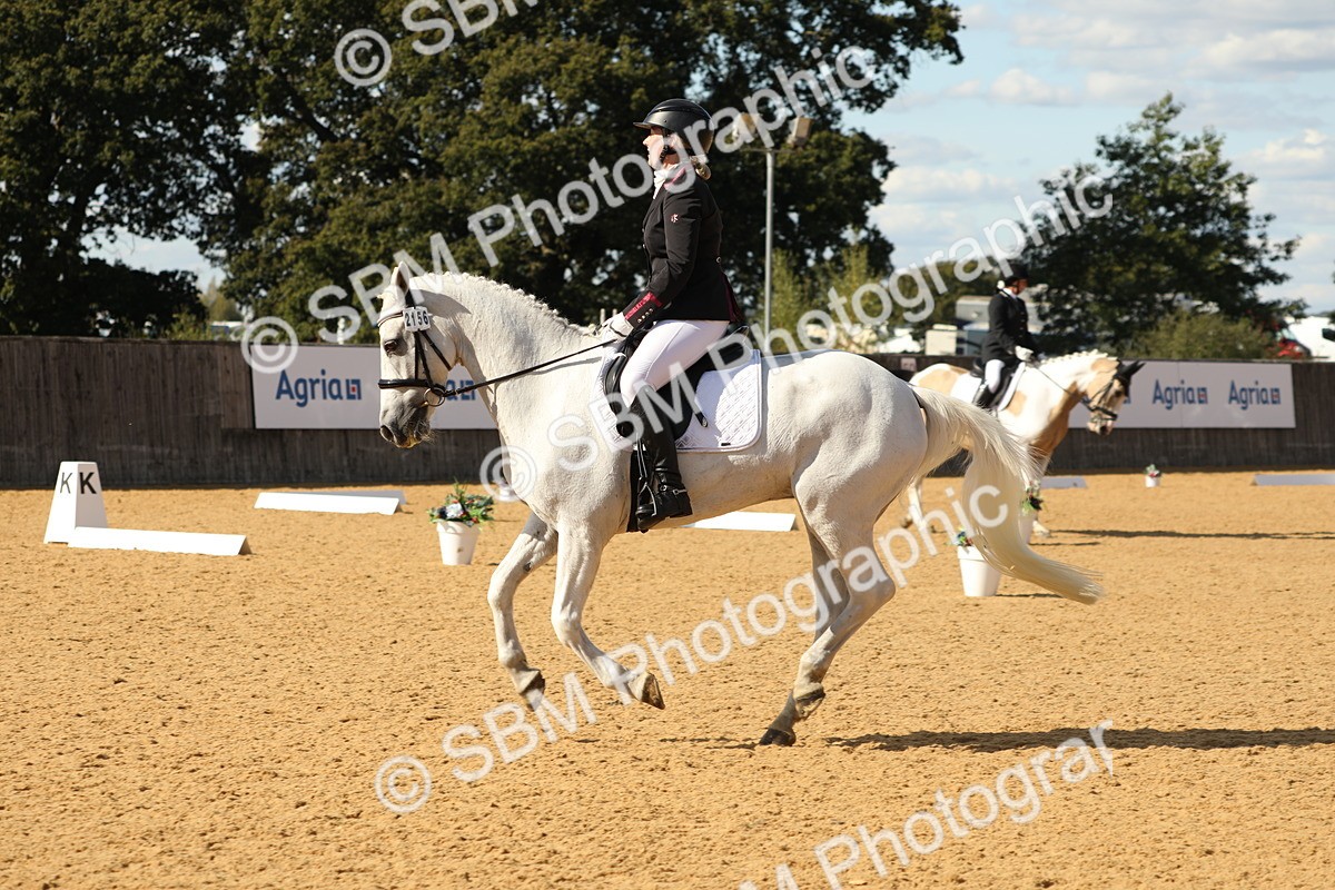 SBM_26564 - D17 - Grand Tour Championship - Novice 27