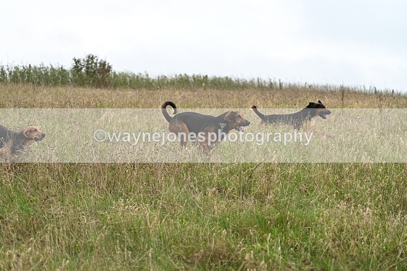 WJ7_9833 - Camera 1 & Last fence