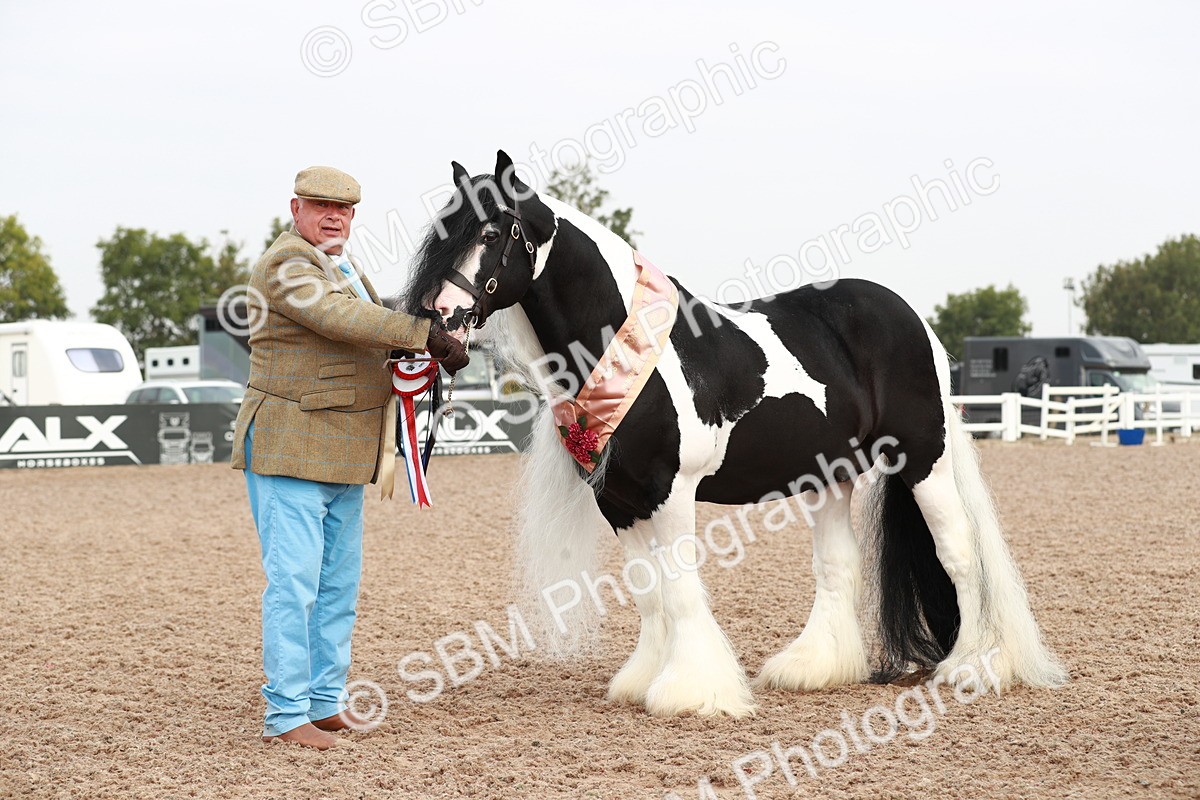 SBM_09590 - Class 201 Best Turned Out IH