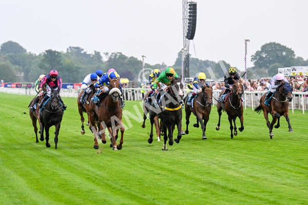 250725-Race 2-Rock N Roll Pinkie-0363 - Race 2 6.03pm Elevator Company Handicap