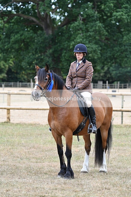 WJ7_0706 - Class 6 Ridden Mountain and Moorland