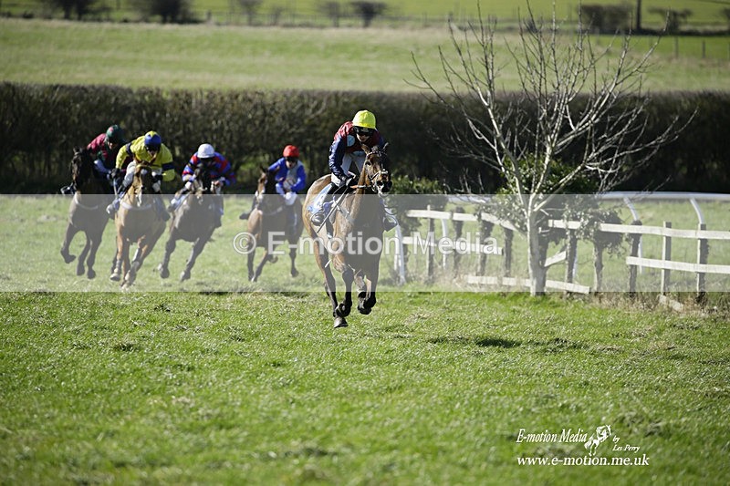 PtP 260222 255 - Kingston Blount Racing Club Point-to-Point 26/02/22