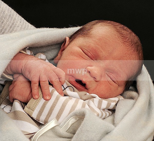 Newborn - Newborn latest