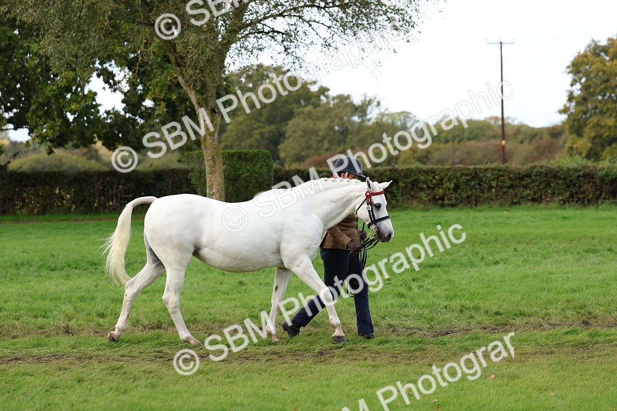 SBM_40699 - S25 -  Veteran In Hand