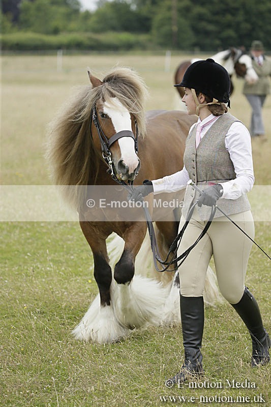 B230619-0749 - Bourne Valley Riding Club Summer Show 23/06/19
