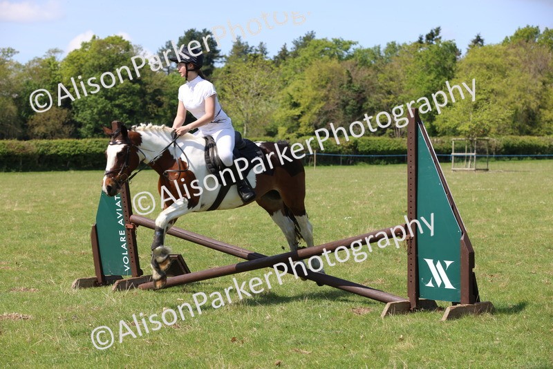 20250427-2621 - Class 20 - Working Hunter Ponies