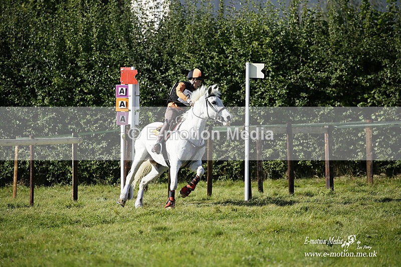  WWHT 031021 1263 - Open Novice (0.80m) 03/10/21