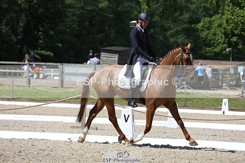 230526-115728-06135 - 157-GODSEND_DU_GIVRE-Henry_Dove-WEDTrotUp+DR