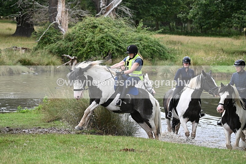 WJ7_3009 - Time at Water 11:37 to 12:13