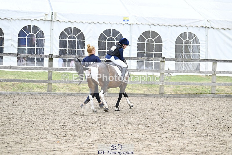 240822X-140703-08790 - 40cm LR R2 13.00 to 15.00