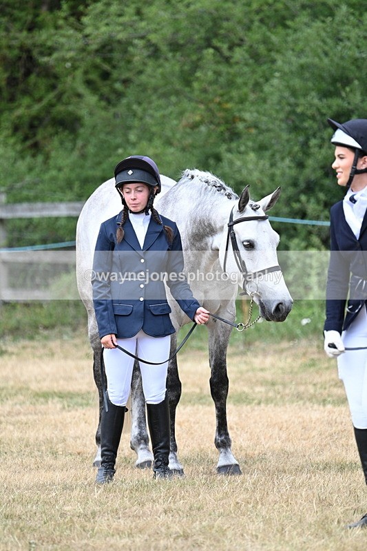 WJ7_1834 - Class 4a Prettiest Mare 14.2hh and over hand