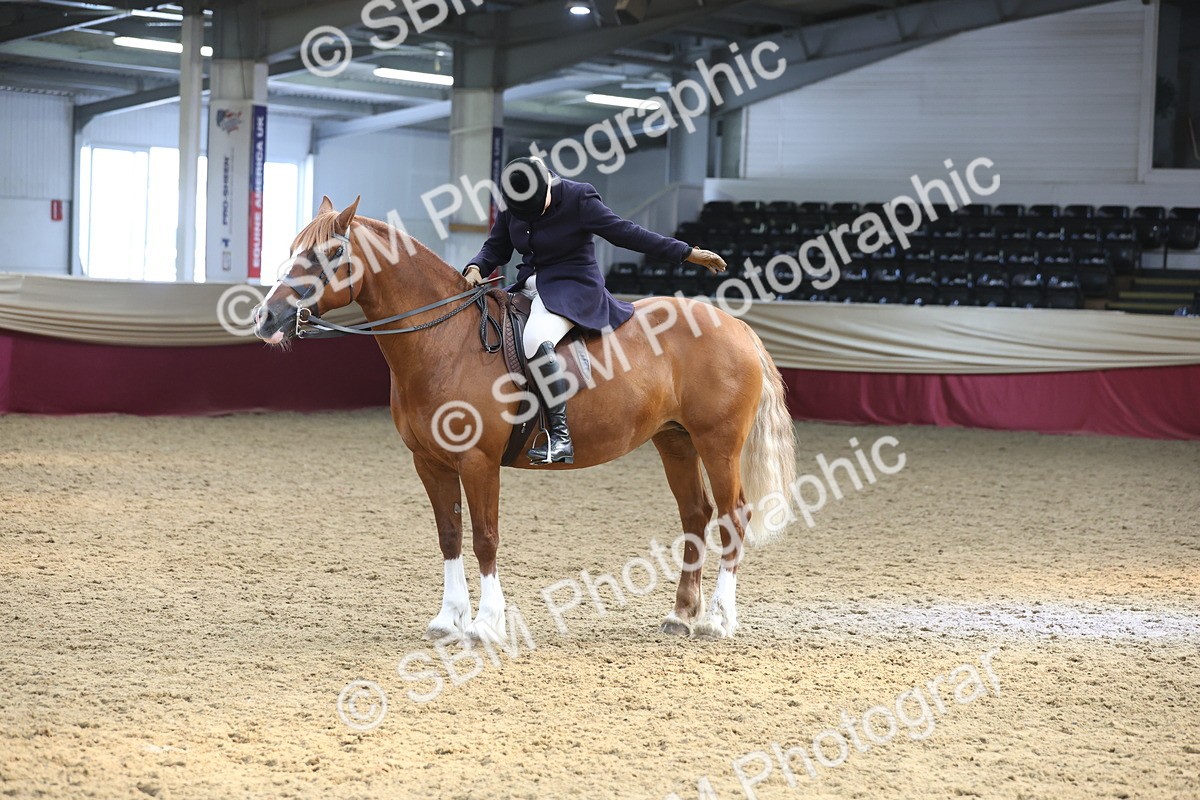 SBM_23826 - class 906 - Supreme Final - Ridden Pre Vet