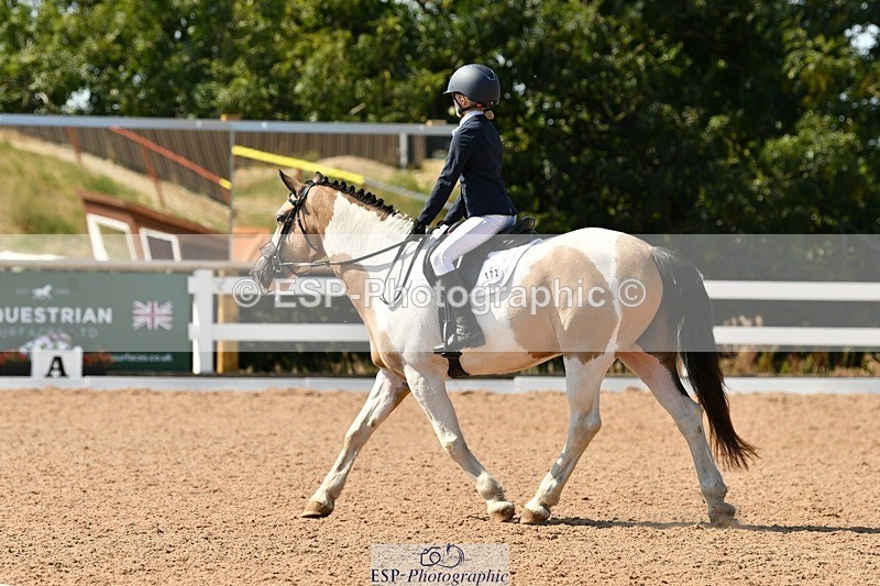 250817-144454-10259 - 172-Lilly.PapworthCammach.Wheres.Whally