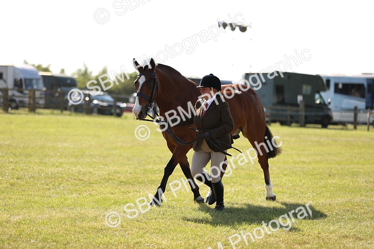SBM_19692 - Class 87-88 - RIHS BSHA Riding Horses