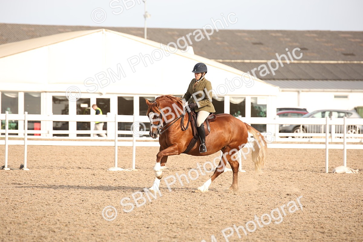 SBM_08822 - Class 12R Regional Ridden Pre-Vet