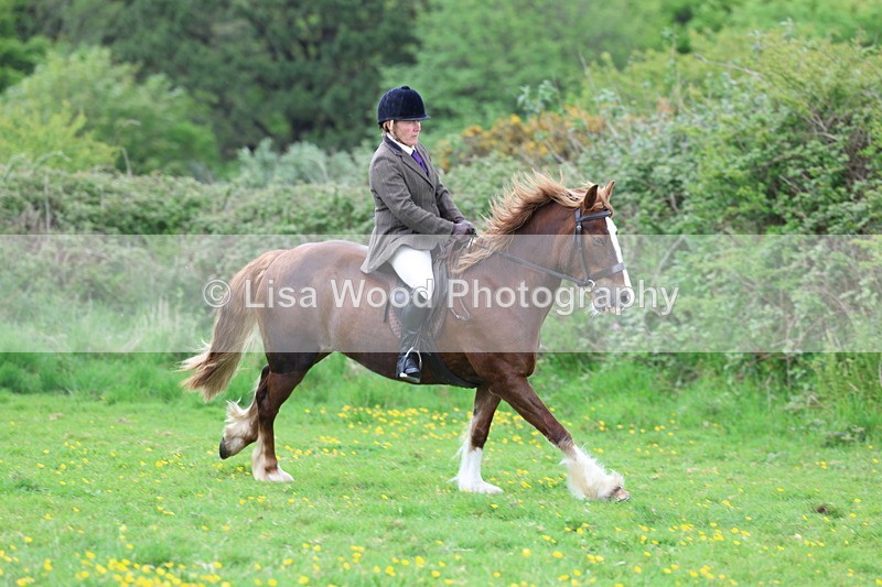 3E7A0689 - Class 5: Ridden M & M Senior