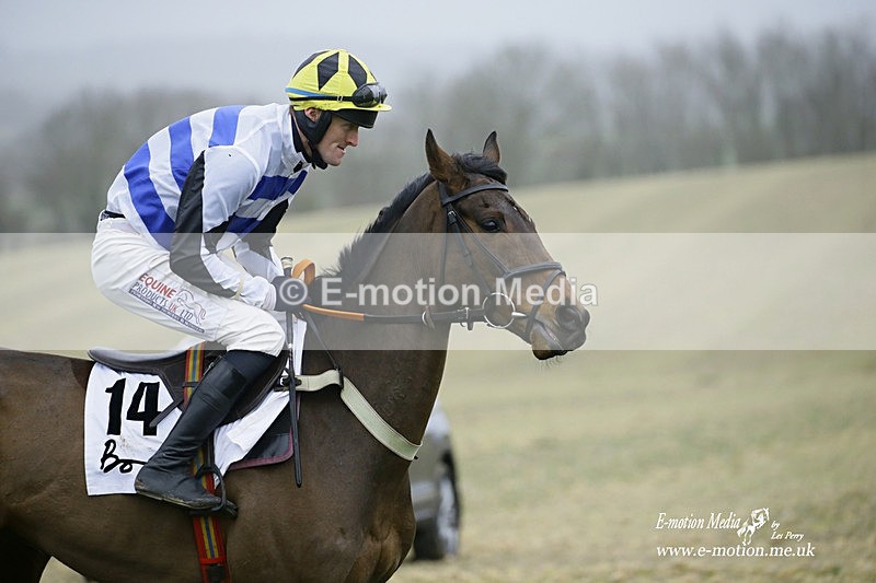 PtP 200222 571 - Countryside Alliance PtP Badbury Rings 20/02/22