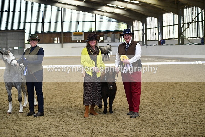 WJ5_5546 - Class 8 In hand cob