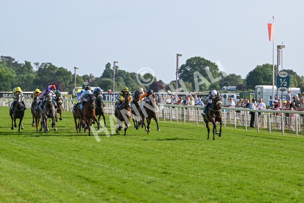 130625-Race 7-Dawn Of Liberation-0137 - Race 7 5.20pm Irish Thoroughbred Marketing Handicap