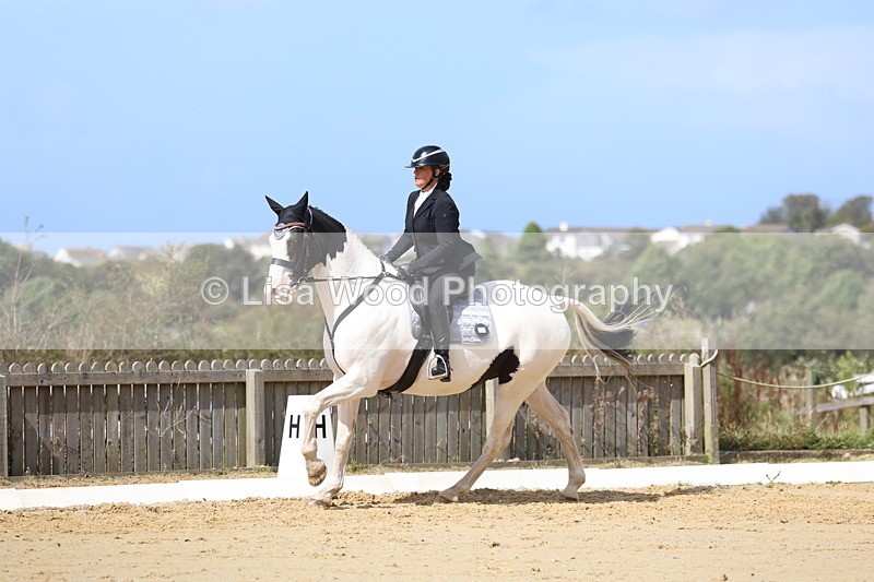 3E7A4086 - Class 9: Novice 6 Section B Championship