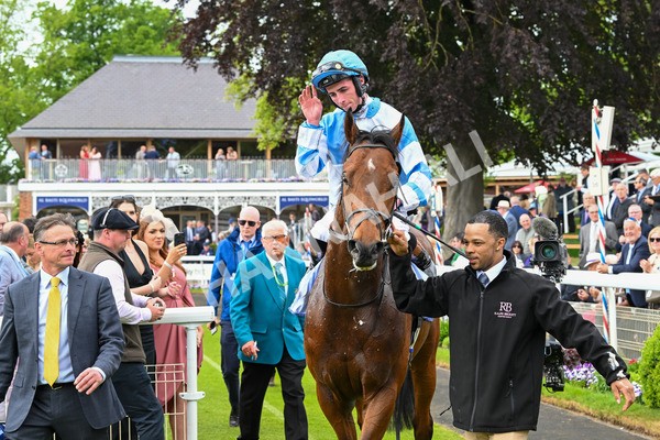 150525-Pride Of Arras-4787 - Race 4 3.45pm Al Basti Equiworld Dubai Dante Stakes
