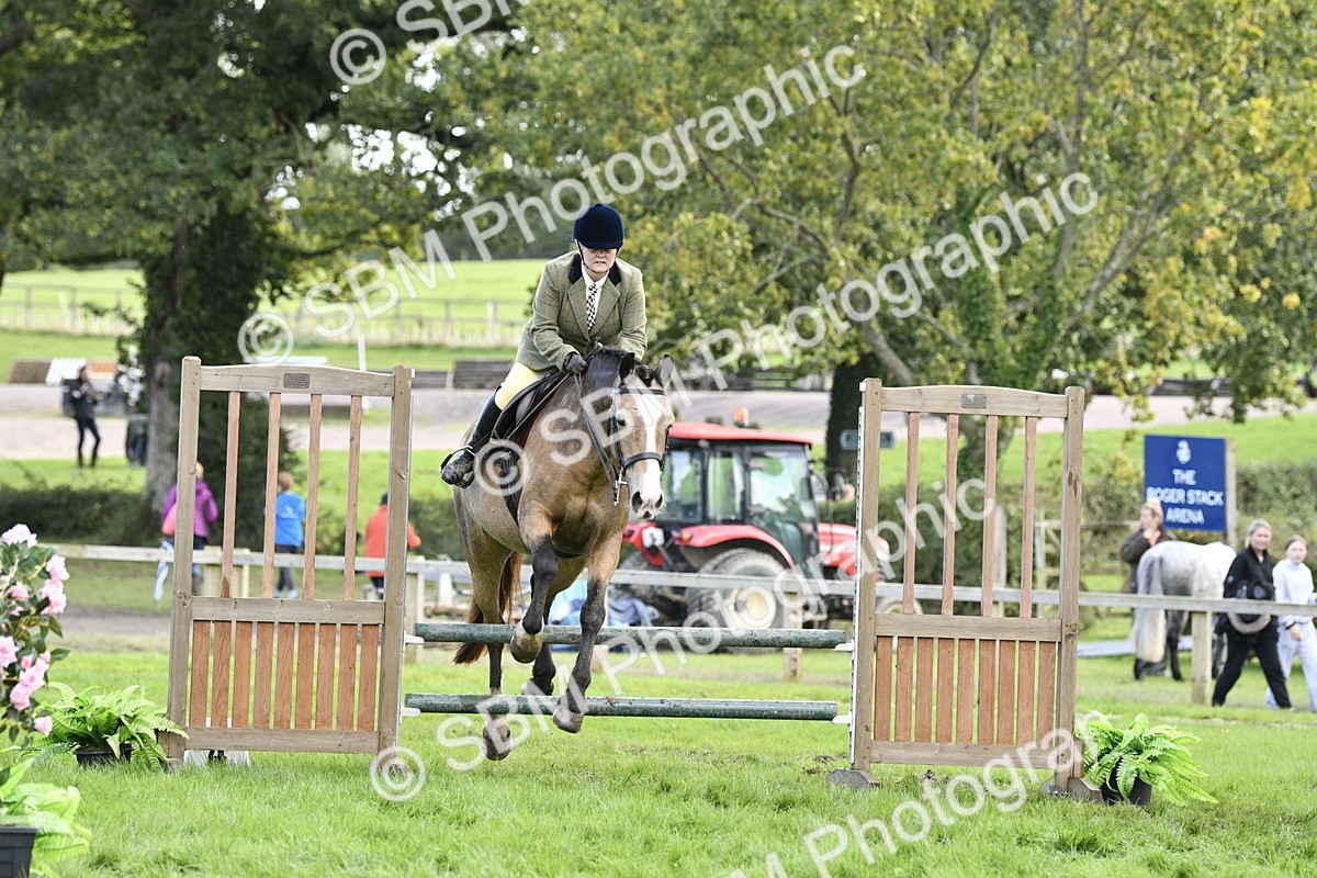 SBM_45754 - S33 - Working Hunter Pony